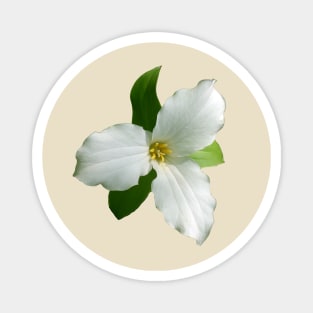 White Trillium Magnet